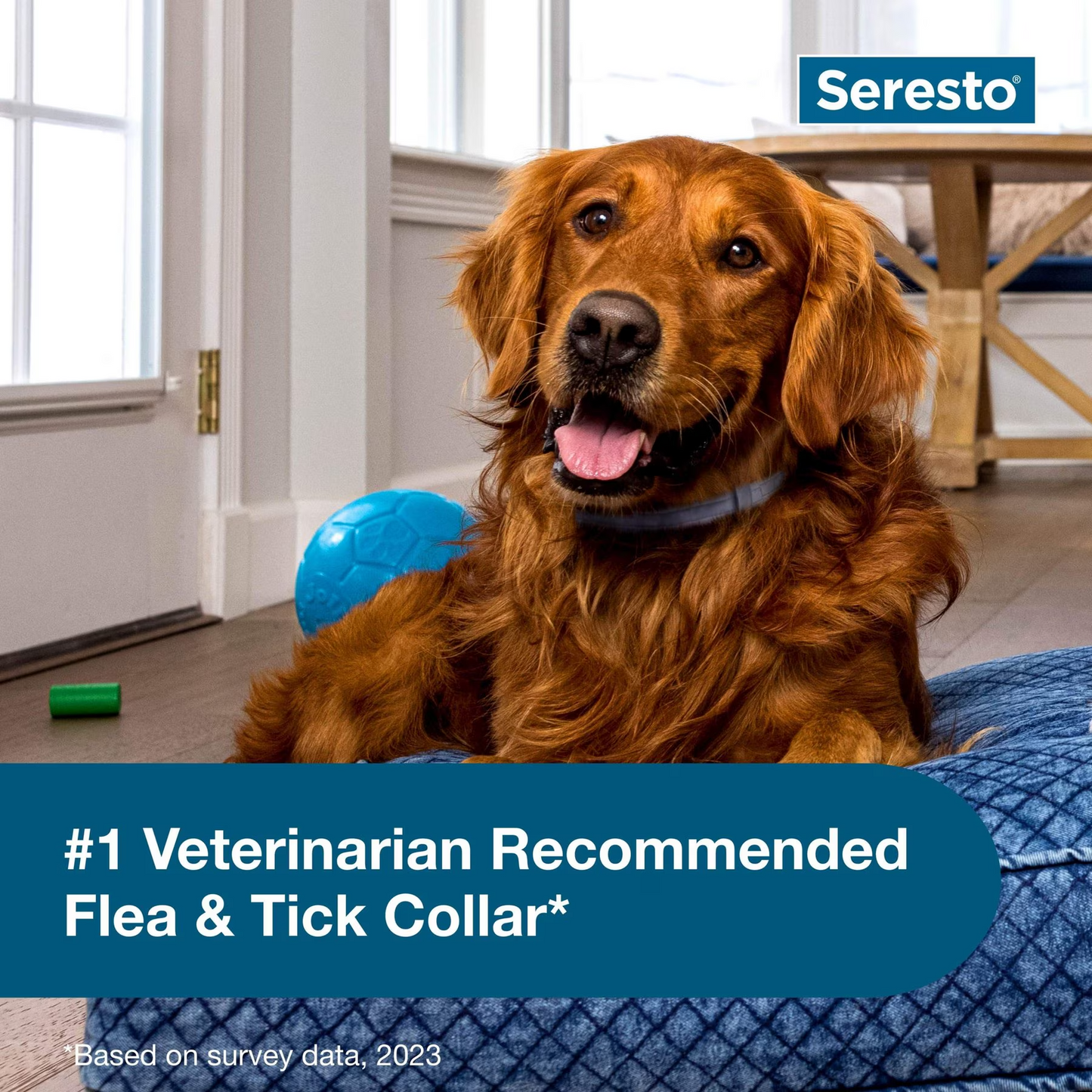 Seresto Flea & Tick Collar for Dogs, over 18-lbs, 1 Collar (8-mos. supply)