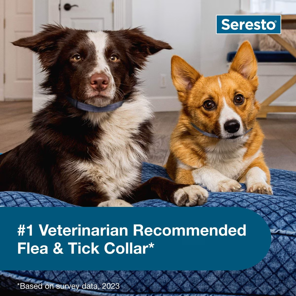 Seresto Flea & Tick Collar for Dogs, over 18-lbs, 1 Collar (8-mos. supply)