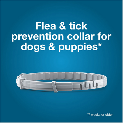 Seresto Flea & Tick Collar for Dogs, over 18-lbs, 1 Collar (8-mos. supply)