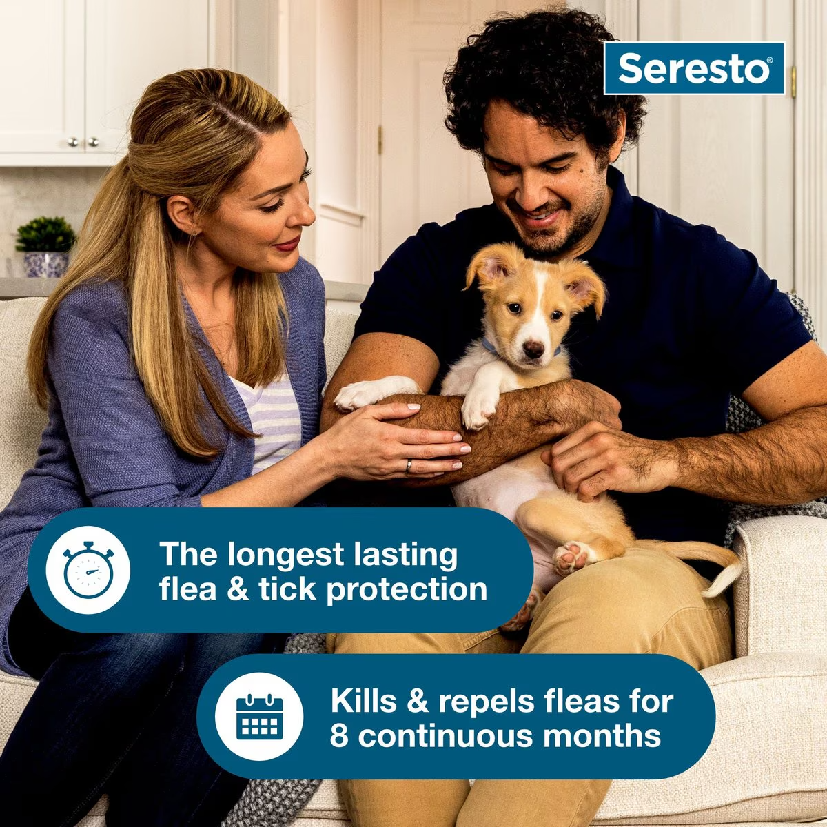 Seresto Flea & Tick Collar for Dogs, over 18-lbs, 1 Collar (8-mos. supply)